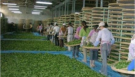 安溪茶校加盟