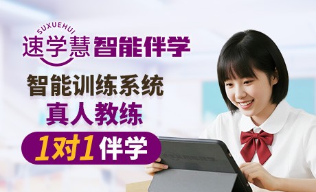 速学慧智能伴学