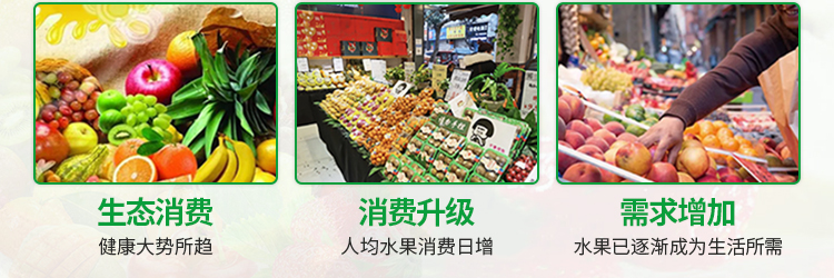 淝东老母鸡