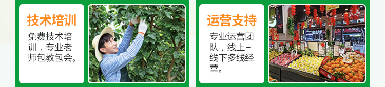 淝东老母鸡