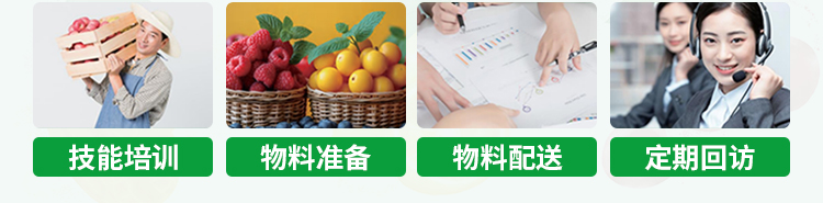 淝东老母鸡