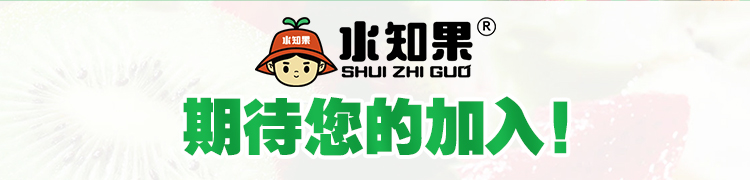 淝东老母鸡