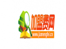 加盟费网-一个专注于查加盟费多少钱的网站！